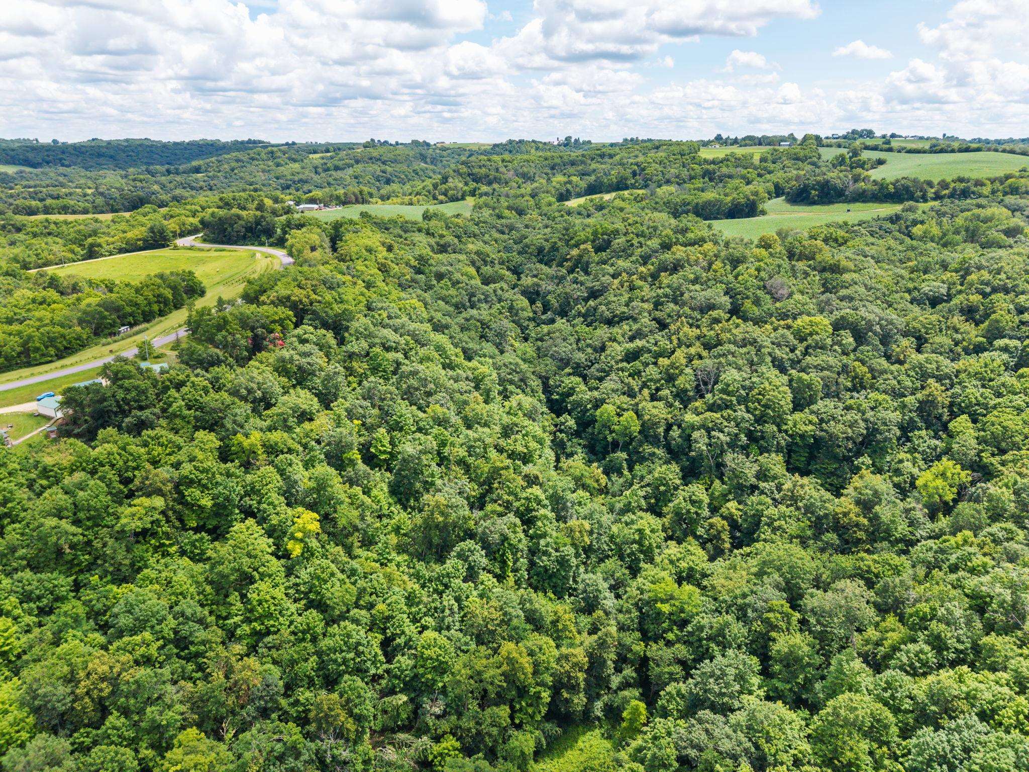24891 Sunset Ridge Lane Eastman, WI 54626 - Photo 38 of 38