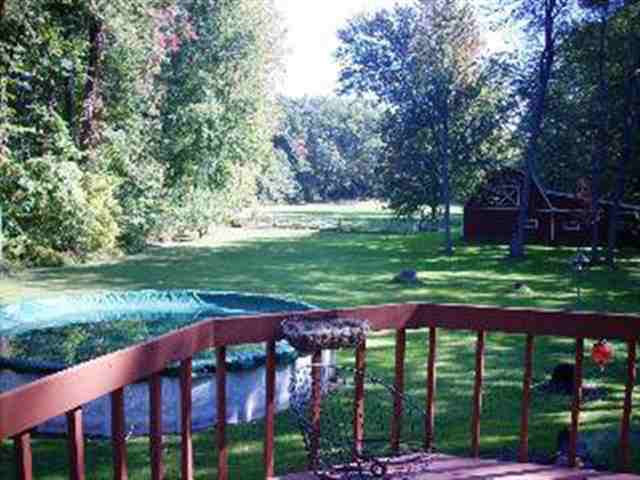 11554 Kruse Road Petersburg, MI 49270 - Photo 8 of 13 Rear View