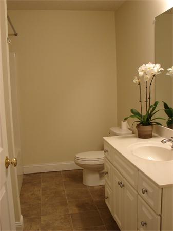 8 Hockanum Road, Unit 3 Northampton, MA 01060 - Photo 12 of 15 Gallery Image 12