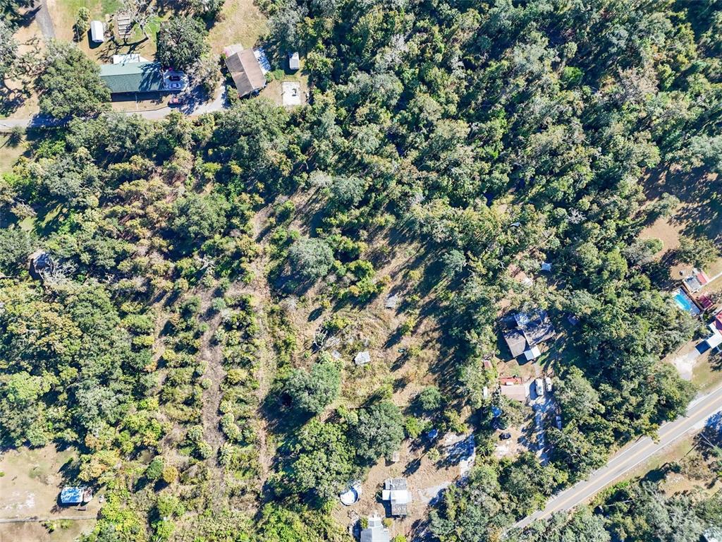 9634 Balm Riverview Road Riverview, FL 33569 - Photo 5 of 12 a view of a tree