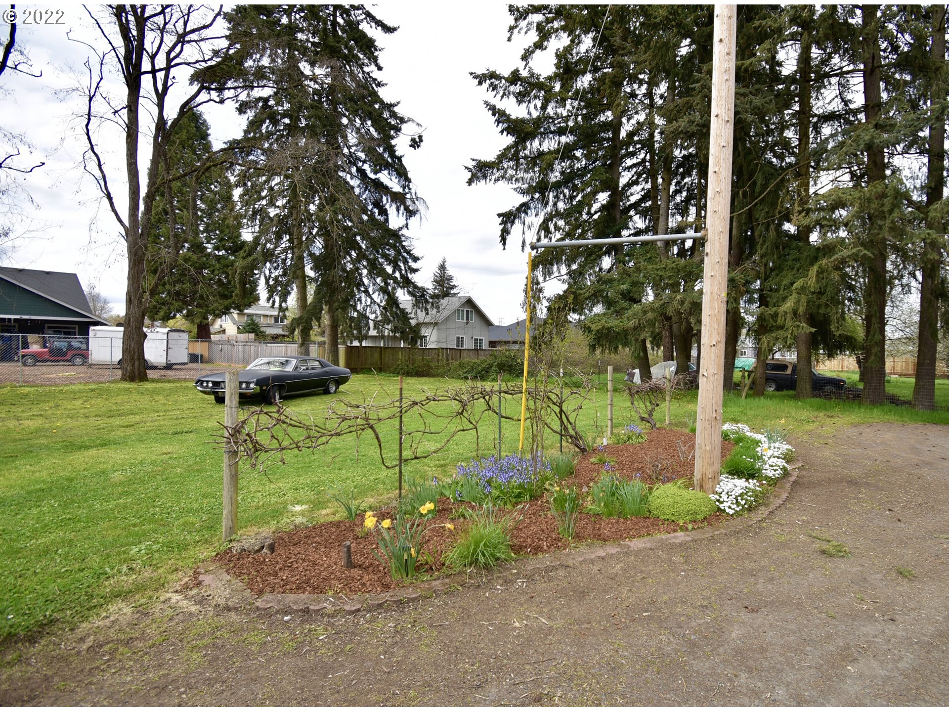 717 Night Hawk Lane Springfield, OR 97477 - Photo 20 of 32 a view of a park with large trees