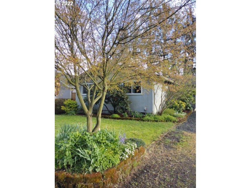 717 Night Hawk Lane Springfield, OR 97477 - Photo 27 of 32