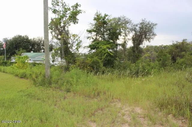 $65,000 | 21558 Lake McKenzie Boulevard, Altha, FL 32421