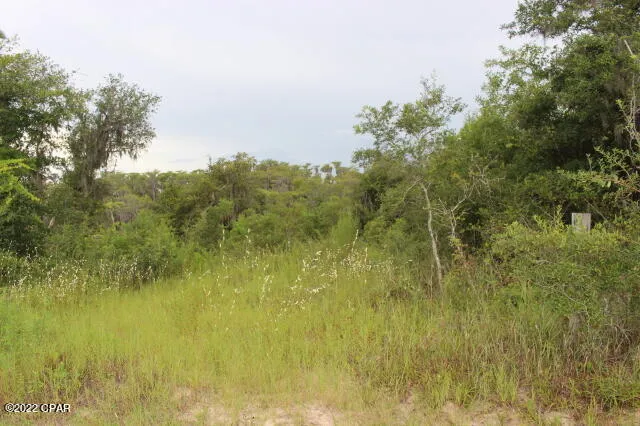 $65,000 | 21558 Lake McKenzie Boulevard, Altha, FL 32421