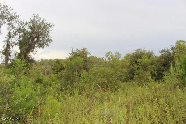 $65,000 | 21558 Lake McKenzie Boulevard, Altha, FL 32421