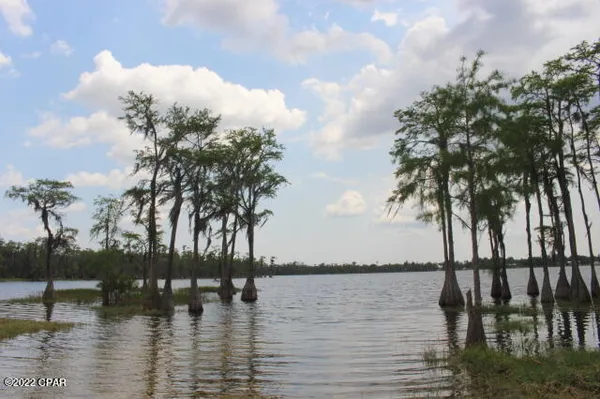 $45,000 | 21558 Lake McKenzie Boulevard, Altha, FL 32421