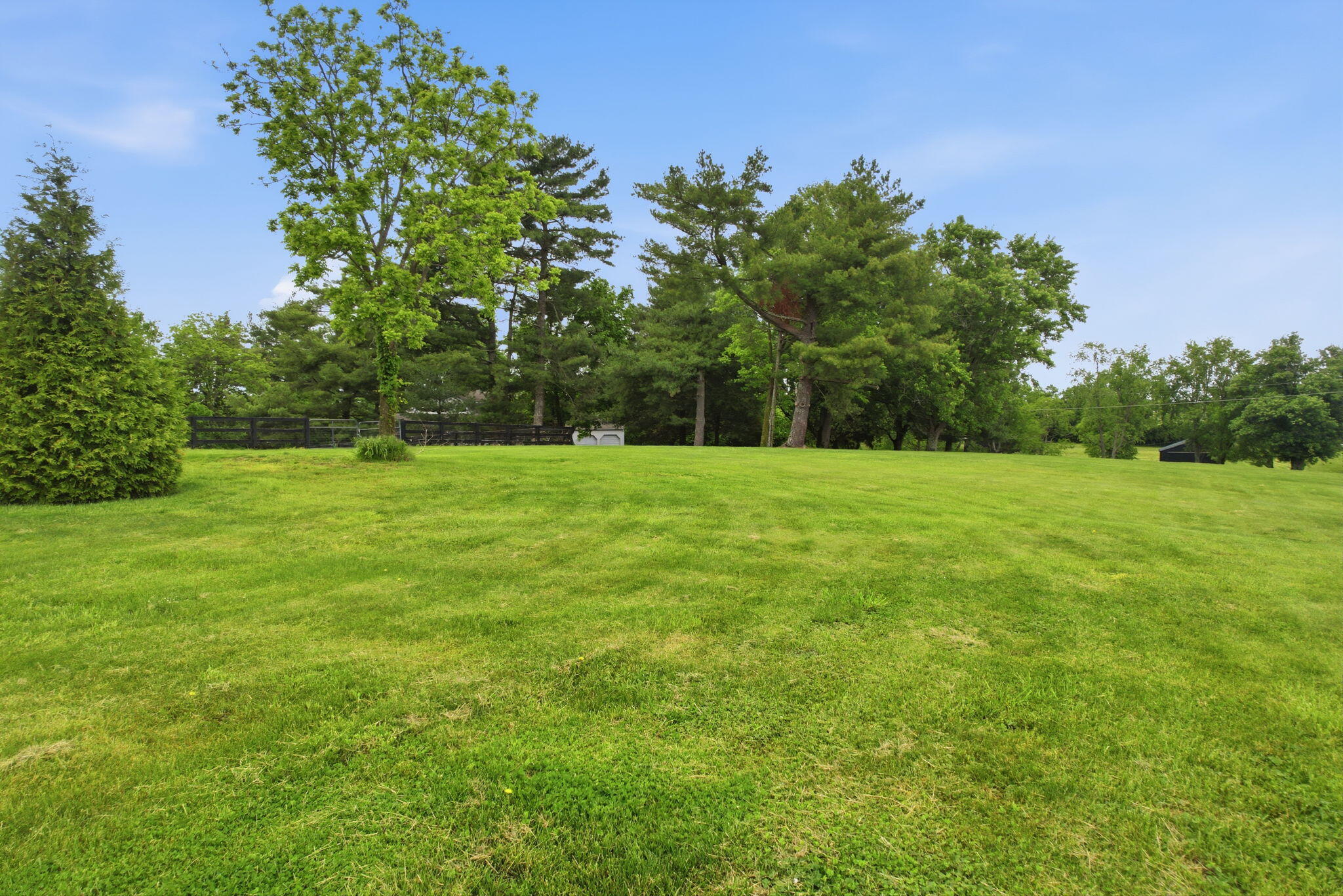 132 West Maple Leaf Road Maysville, KY 41056 - Photo 45 of 50