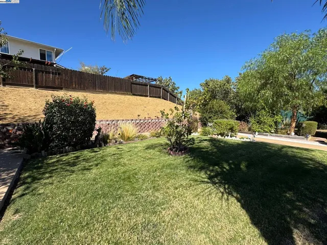a view of a yard with plants and trees