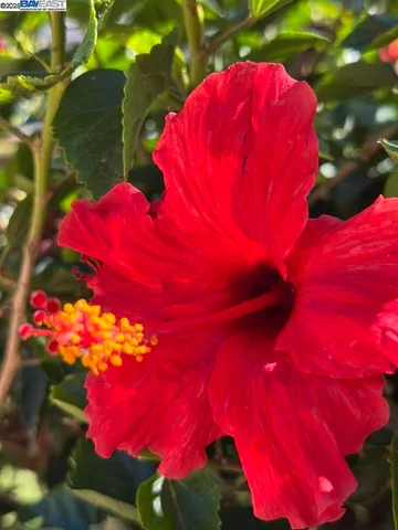 a view of outdoor space