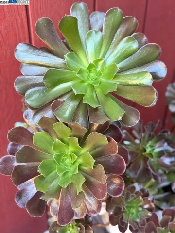 $3,550 | 4359 Oakdale Place, Pittsburg, CA 94565