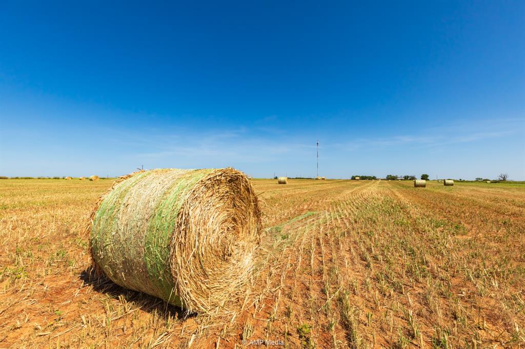 Tbd Fm Tbd Fm 2746th Anson, TX 79501 - Photo 5 of 13 a view of an ocean