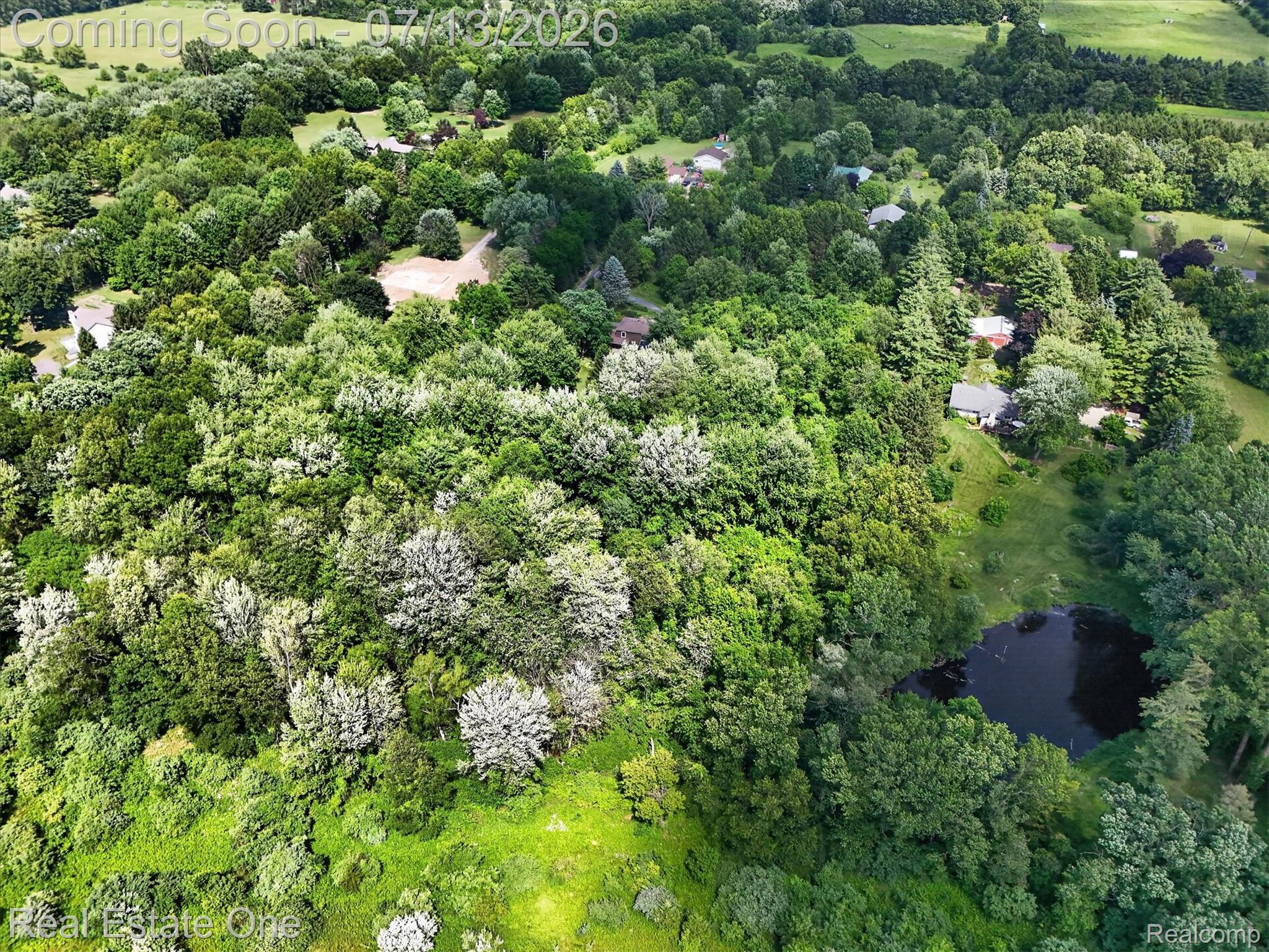 6039 Fish Lake Road Holly, MI 48442 - Photo 64 of 70 Expansive wooded property featuring a natural pond and varied tree canopy