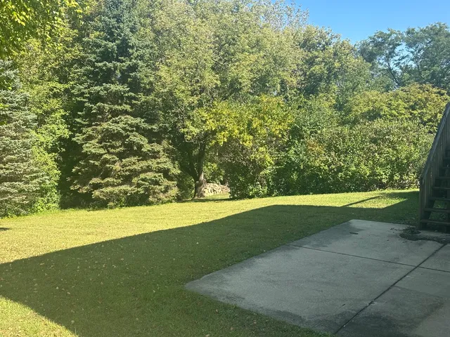 a view of yard with large trees