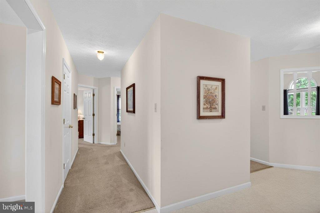 2220 Pine Woods Road Quicksburg, VA 22847 - Photo 39 of 55