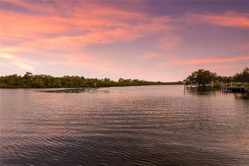 1617 Channelside Place Parrish, FL 34219 - Photo 45 of 57