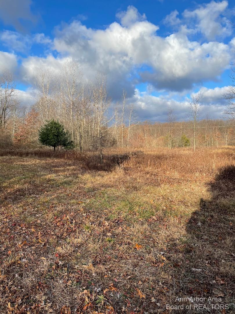 0 Eggert Road Dundee, MI 48131 - Photo 1 of 4 Photo 1