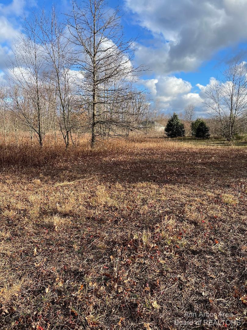 0 Eggert Road Dundee, MI 48131 - Photo 2 of 4 Photo 2