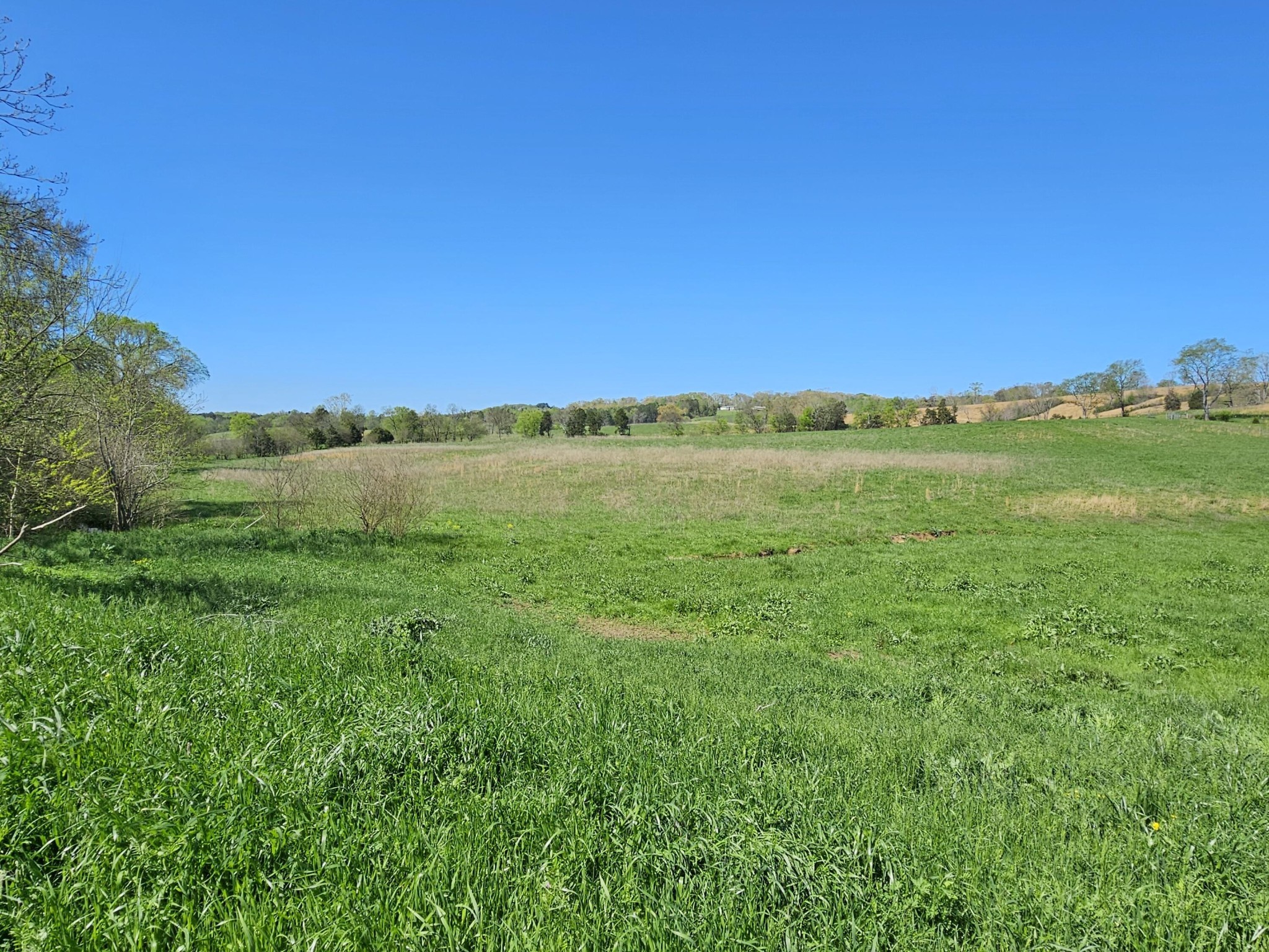 495 Lower East Valley Road Dunlap, TN 37327 - Photo 48 of 58 Gallery Image 48