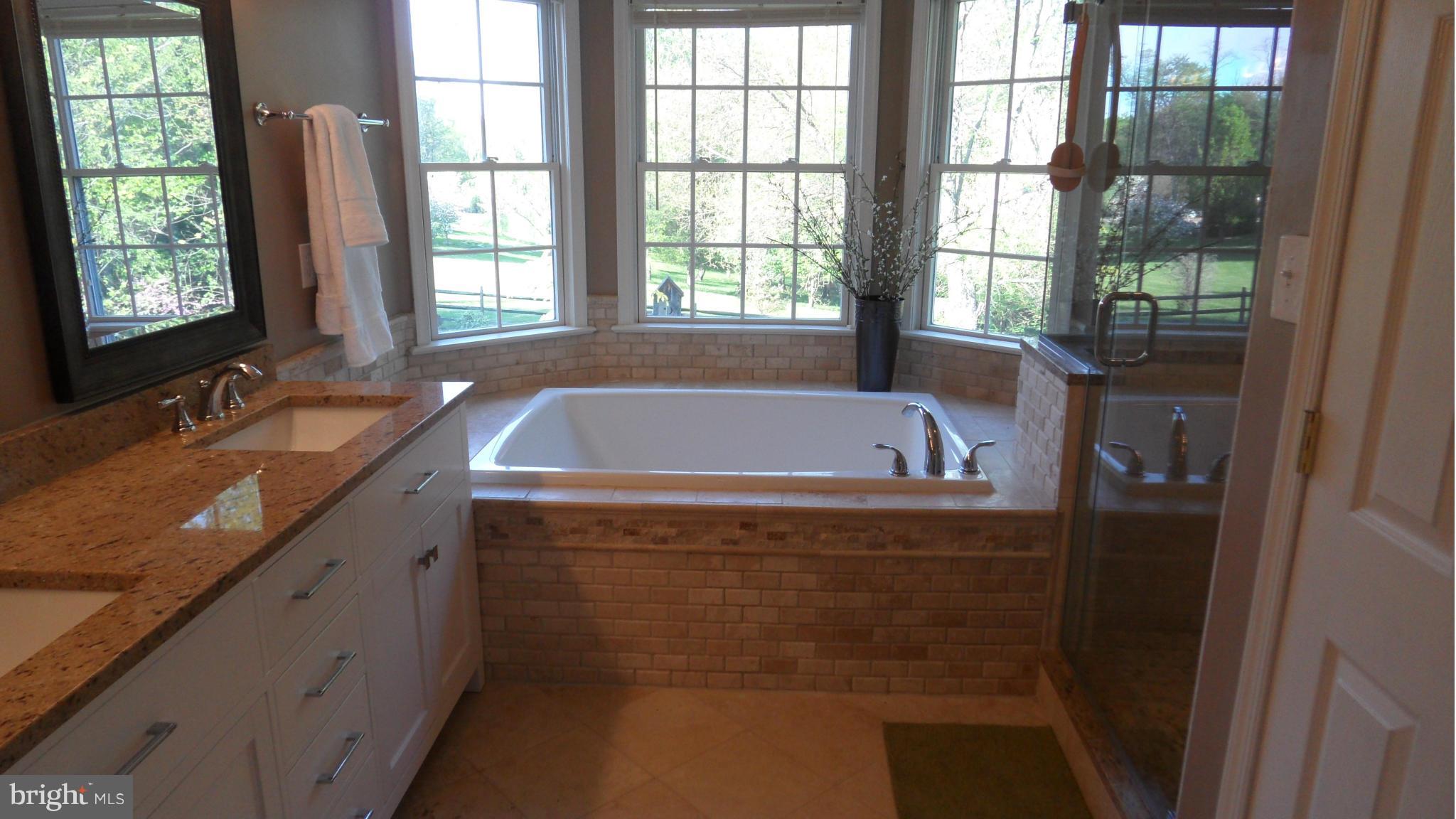 23701 Woodfield Road Gaithersburg, MD 20882 - Photo 17 of 30 Bath (Master)