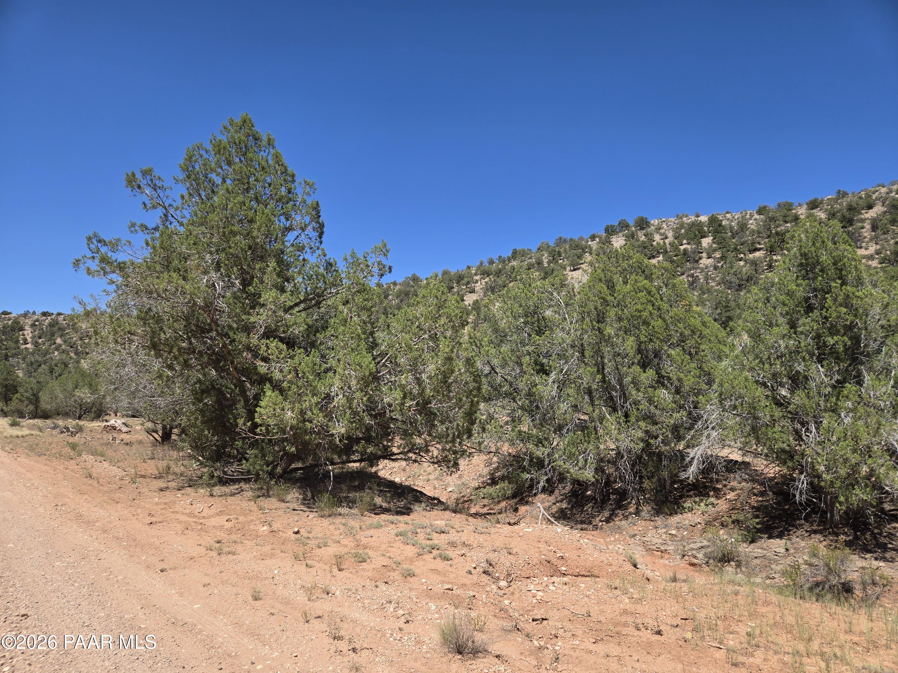 Lot 124 South Arizona Road Ash Fork, AZ 86320 - Photo 6 of 9 1000034395