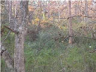 2512 Rocky Point Road Soddy Daisy, TN 37379 - Photo 1 of 4 Primary Photo
