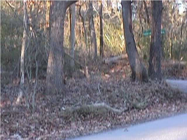 2512 Rocky Point Road Soddy Daisy, TN 37379 - Photo 3 of 4 Additional Photo