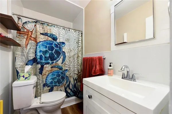 a bathroom with a sink a toilet and shower curtain