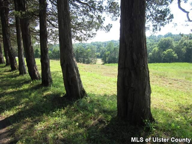 214 Marcott Road Cottekill, NY 12419 - Photo 17 of 17 Photo 17