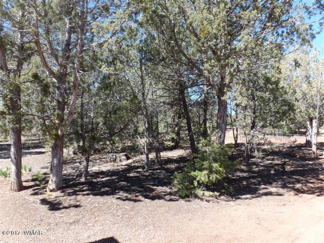 5384 Highway 260 Show Low, AZ 85901 - Photo 11 of 13 a view of outdoor space with lots of trees