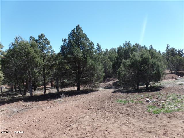 5384 Highway 260 Show Low, AZ 85901 - Photo 12 of 13 a view of outdoor space with trees