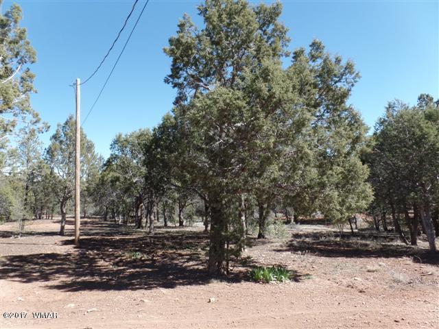 5384 Highway 260 Show Low, AZ 85901 - Photo 10 of 13