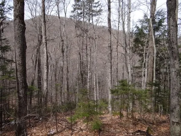 $646,500 | 0 South Road, South Woodstock, VT 05071