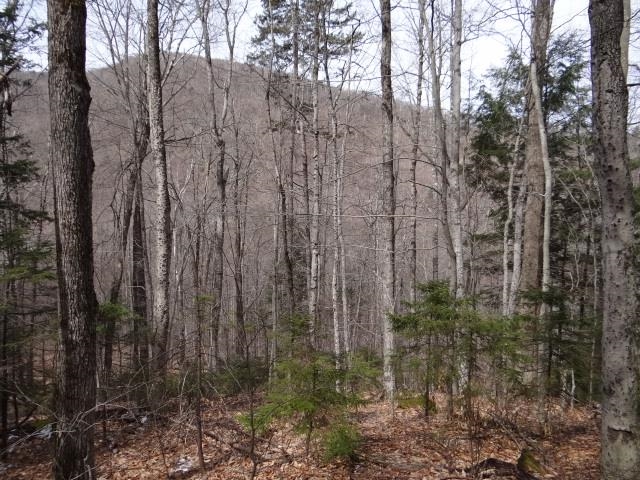 0 South Road South Woodstock, VT 05071 - Photo 11 of 24