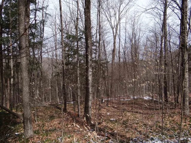 $646,500 | 0 South Road, South Woodstock, VT 05071