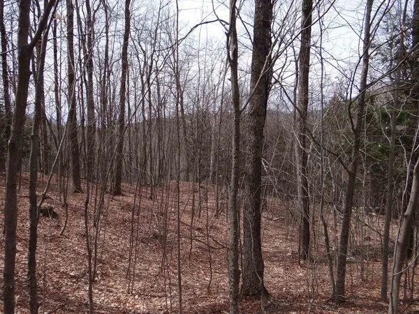 $646,500 | 0 South Road, South Woodstock, VT 05071