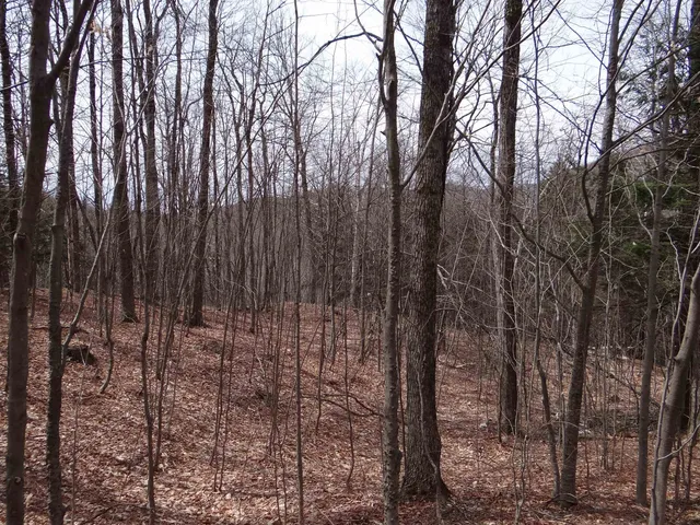 $646,500 | 0 South Road, South Woodstock, VT 05071