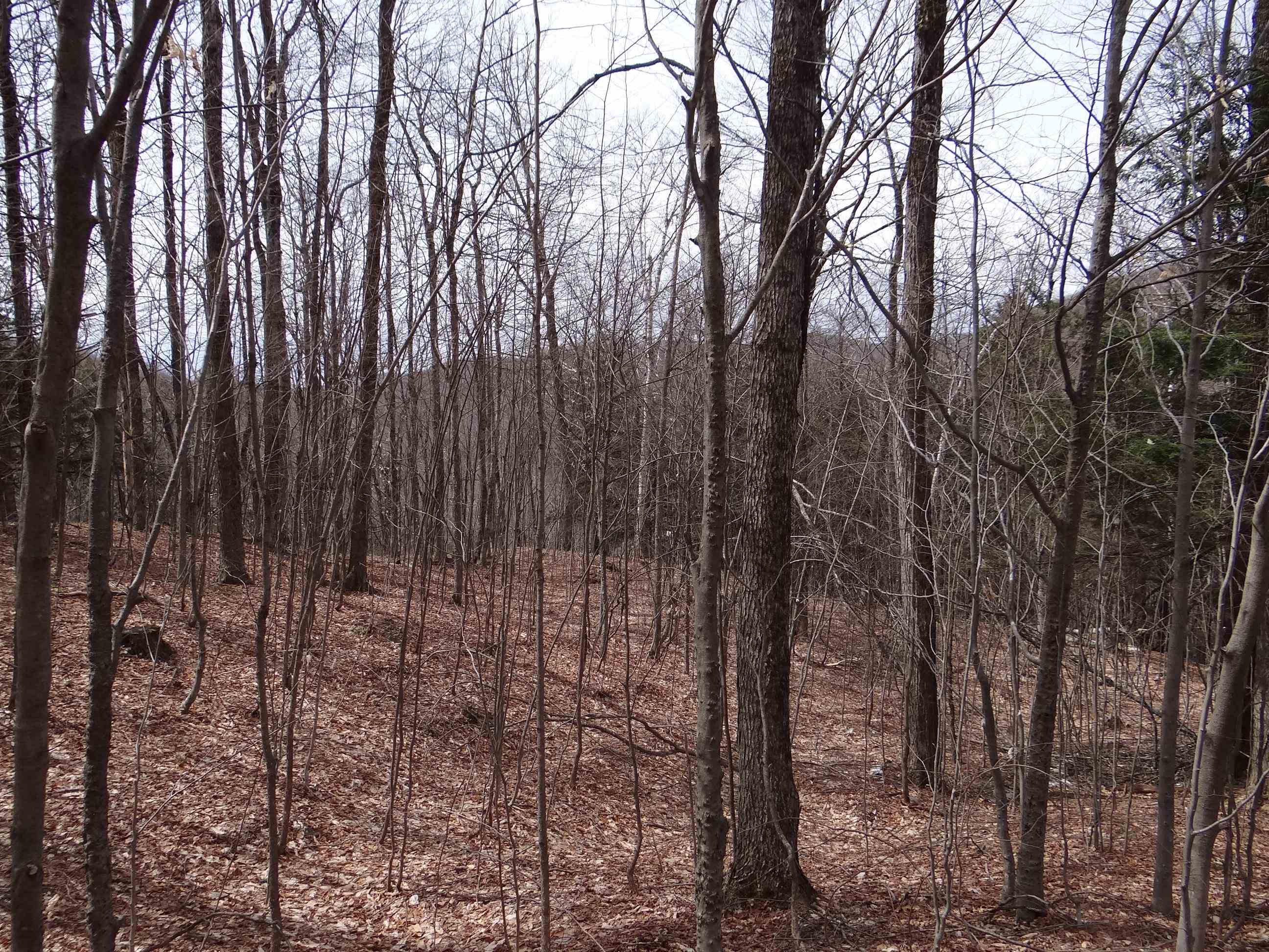 0 South Road South Woodstock, VT 05071 - Photo 13 of 24