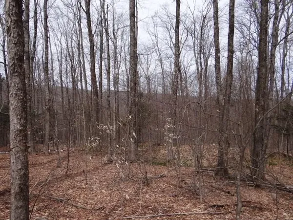 $646,500 | 0 South Road, South Woodstock, VT 05071