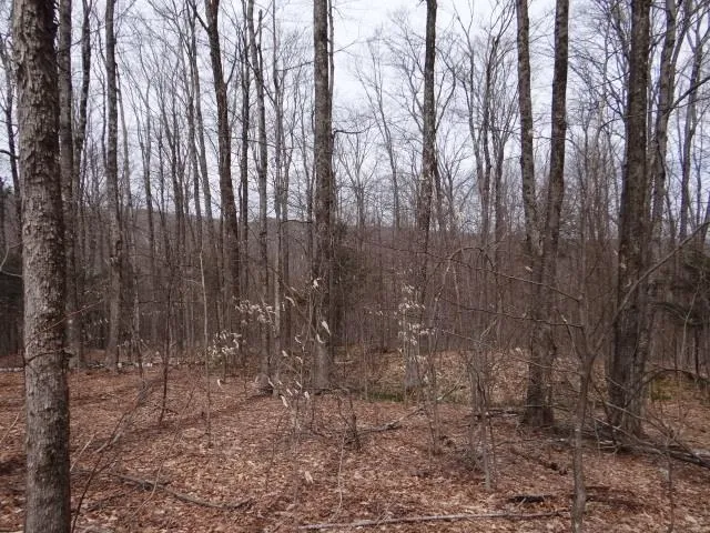 $646,500 | 0 South Road, South Woodstock, VT 05071