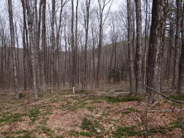 $646,500 | 0 South Road, South Woodstock, VT 05071