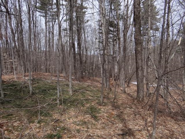 0 South Road South Woodstock, VT 05071 - Photo 16 of 24