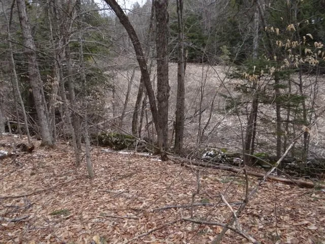 $646,500 | 0 South Road, South Woodstock, VT 05071