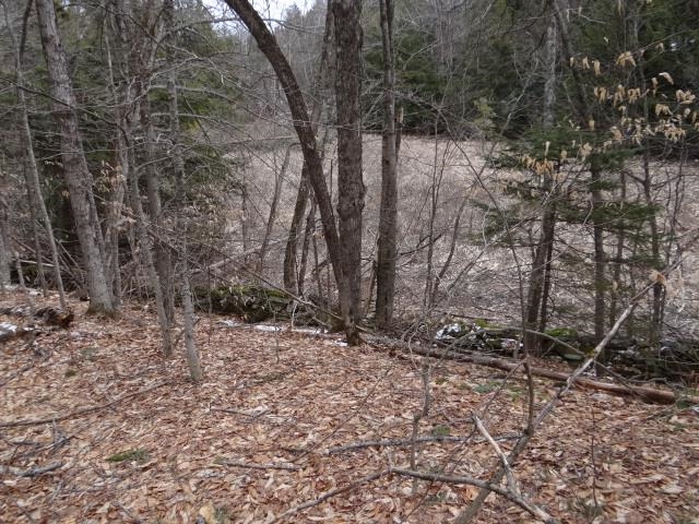 0 South Road South Woodstock, VT 05071 - Photo 17 of 24