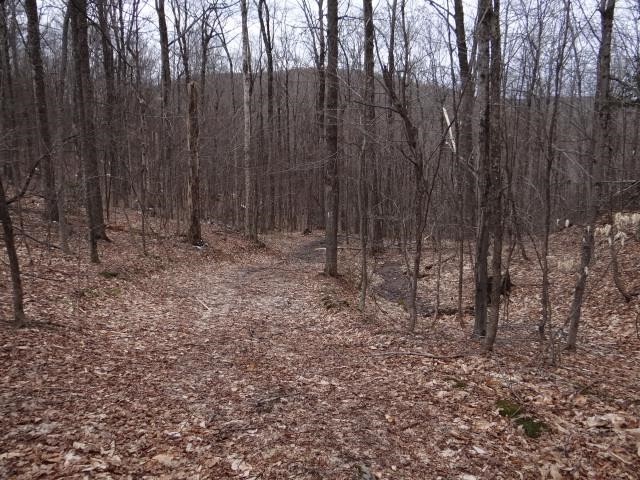 0 South Road South Woodstock, VT 05071 - Photo 19 of 24