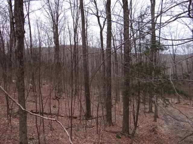 0 South Road South Woodstock, VT 05071 - Photo 21 of 24