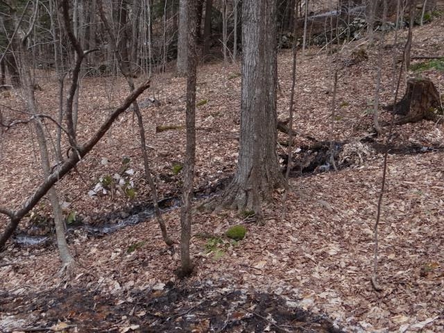 0 South Road South Woodstock, VT 05071 - Photo 22 of 24