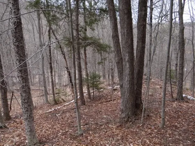 $646,500 | 0 South Road, South Woodstock, VT 05071