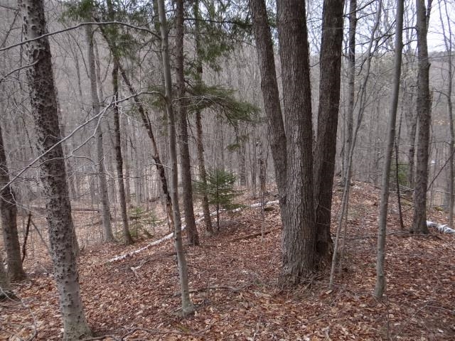0 South Road South Woodstock, VT 05071 - Photo 24 of 24