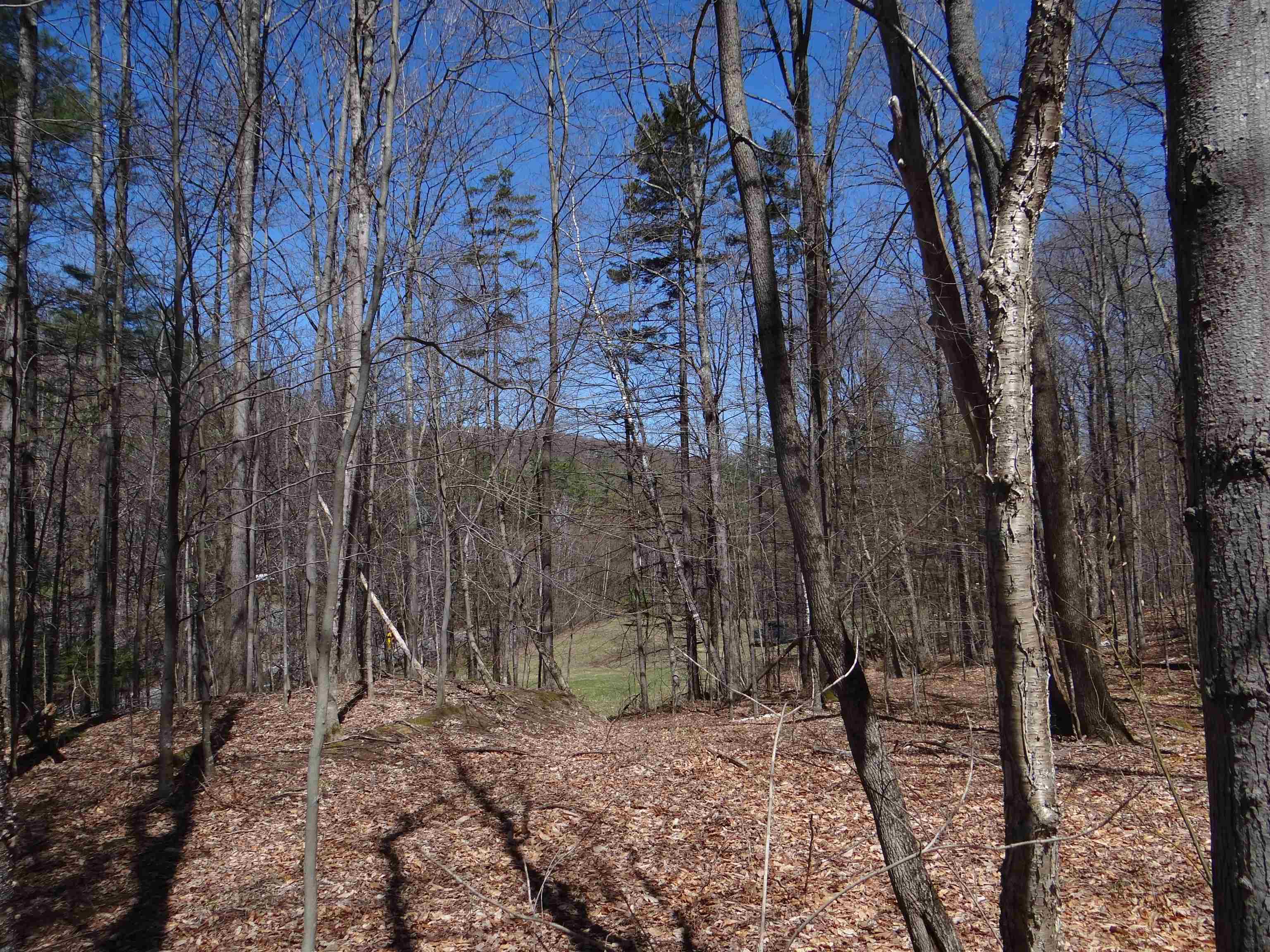 0 South Road South Woodstock, VT 05071 - Photo 25 of 31