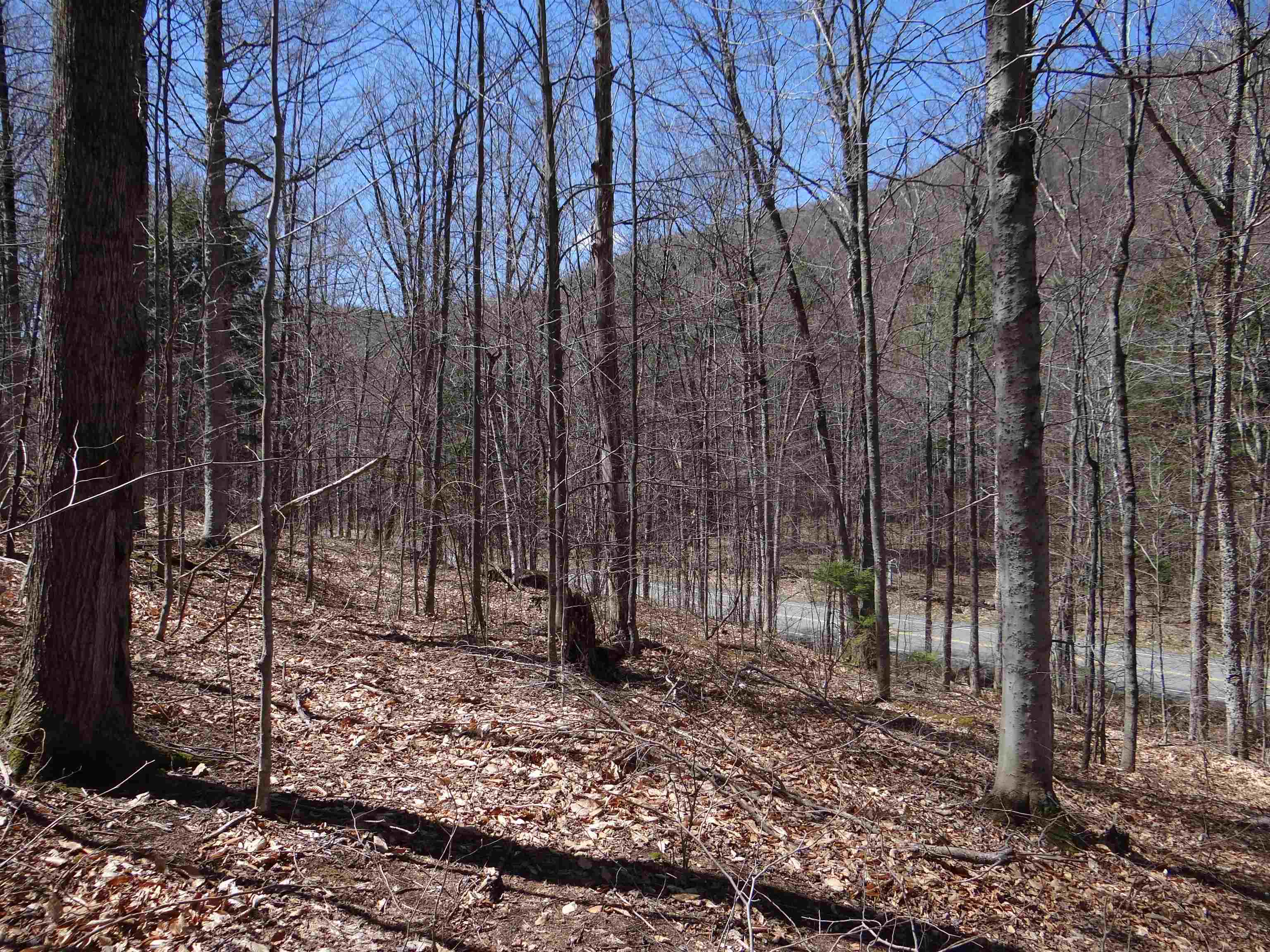 0 South Road South Woodstock, VT 05071 - Photo 26 of 31